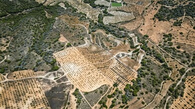Pilar de la Horadada, ALI - AERIAL  map view - Image1