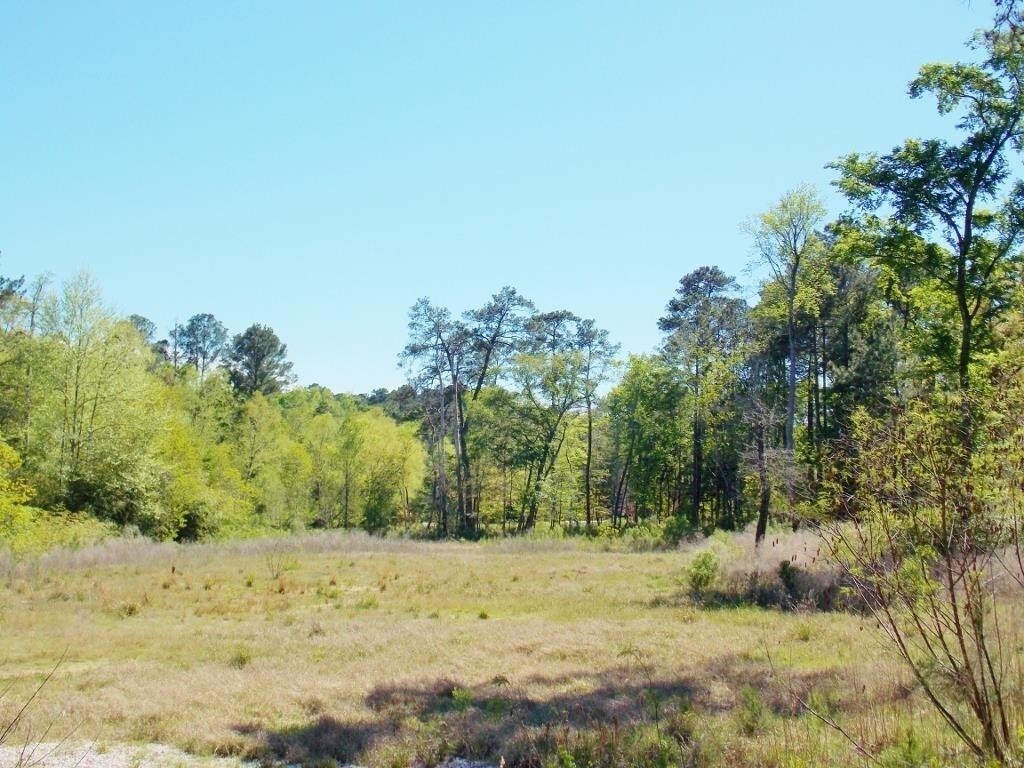 10205 PARADISE VALLEY Dr, Conroe, TX for sale Other- Image 1 of 1