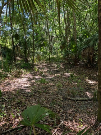 More details for 0 NW 202nd Pl, McIntosh, FL - Land for Sale