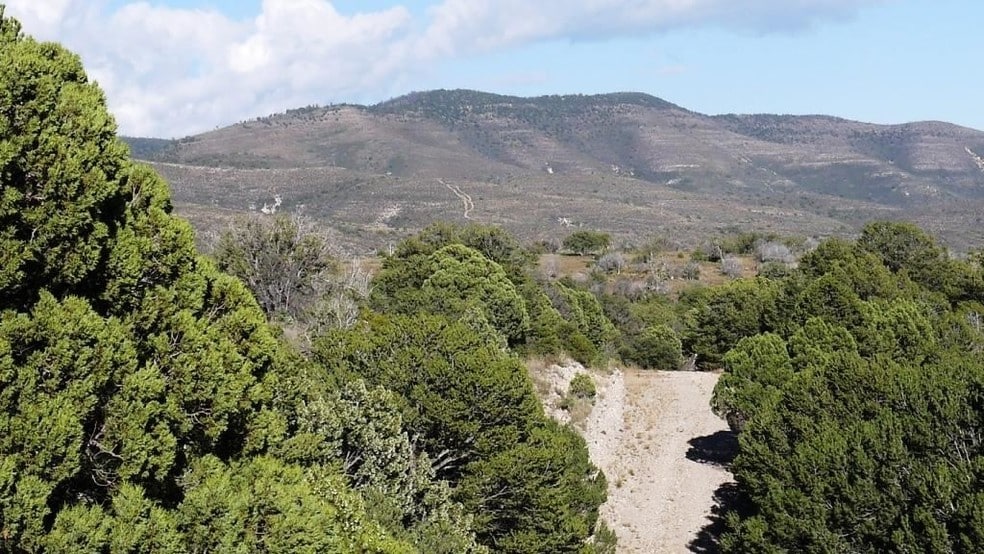 Bronco, Timberon, NM 88350