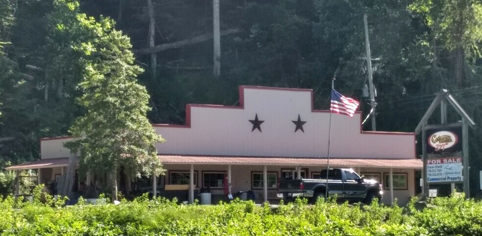 179 Tails Creek Rd, Ellijay, GA for sale - Building Photo - Image 1 of 1