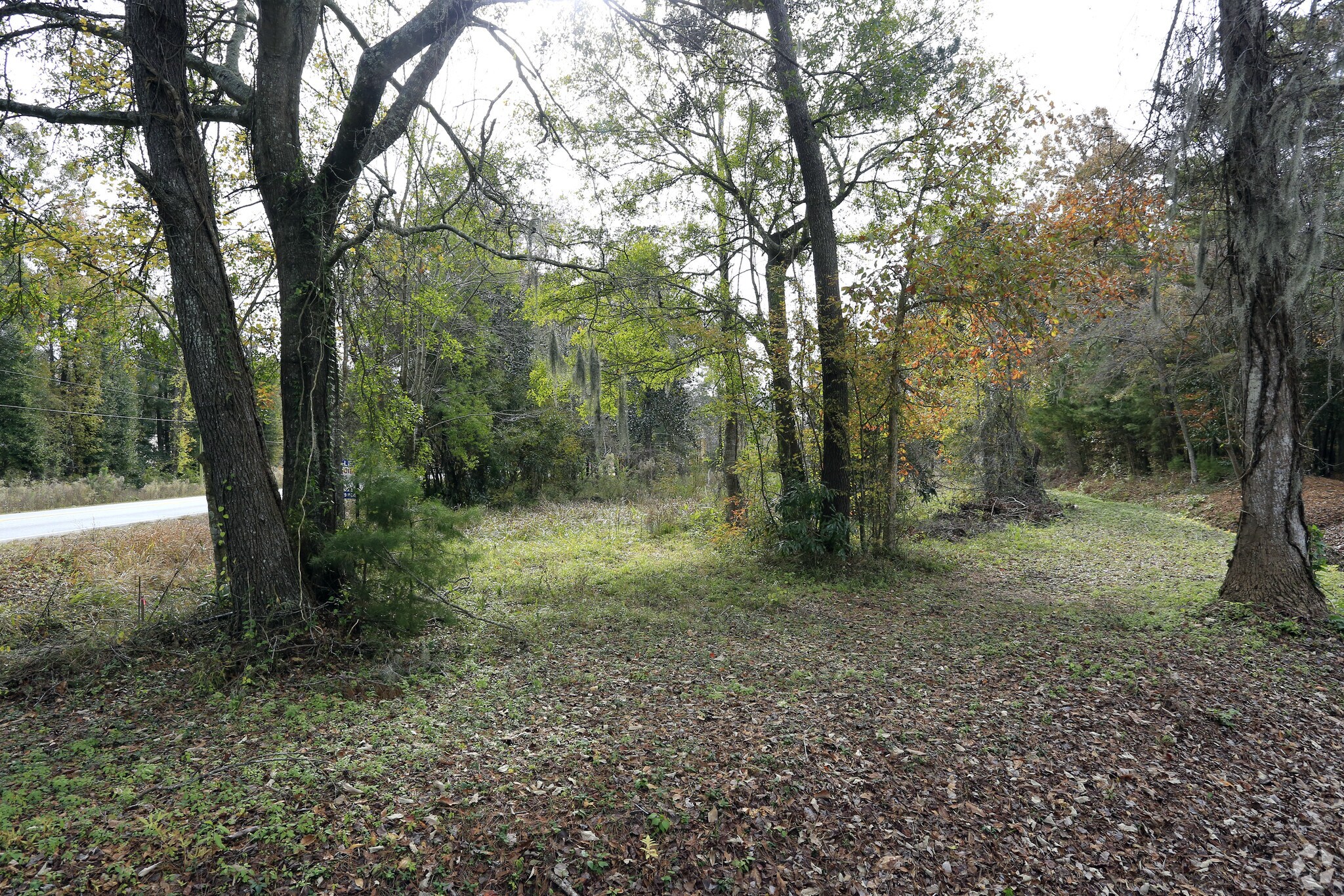 920 Main Rd, Johns Island, SC for sale Primary Photo- Image 1 of 1