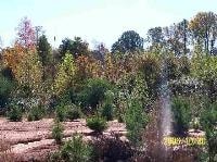 Frontage Rd, Anderson, SC for sale Building Photo- Image 1 of 1