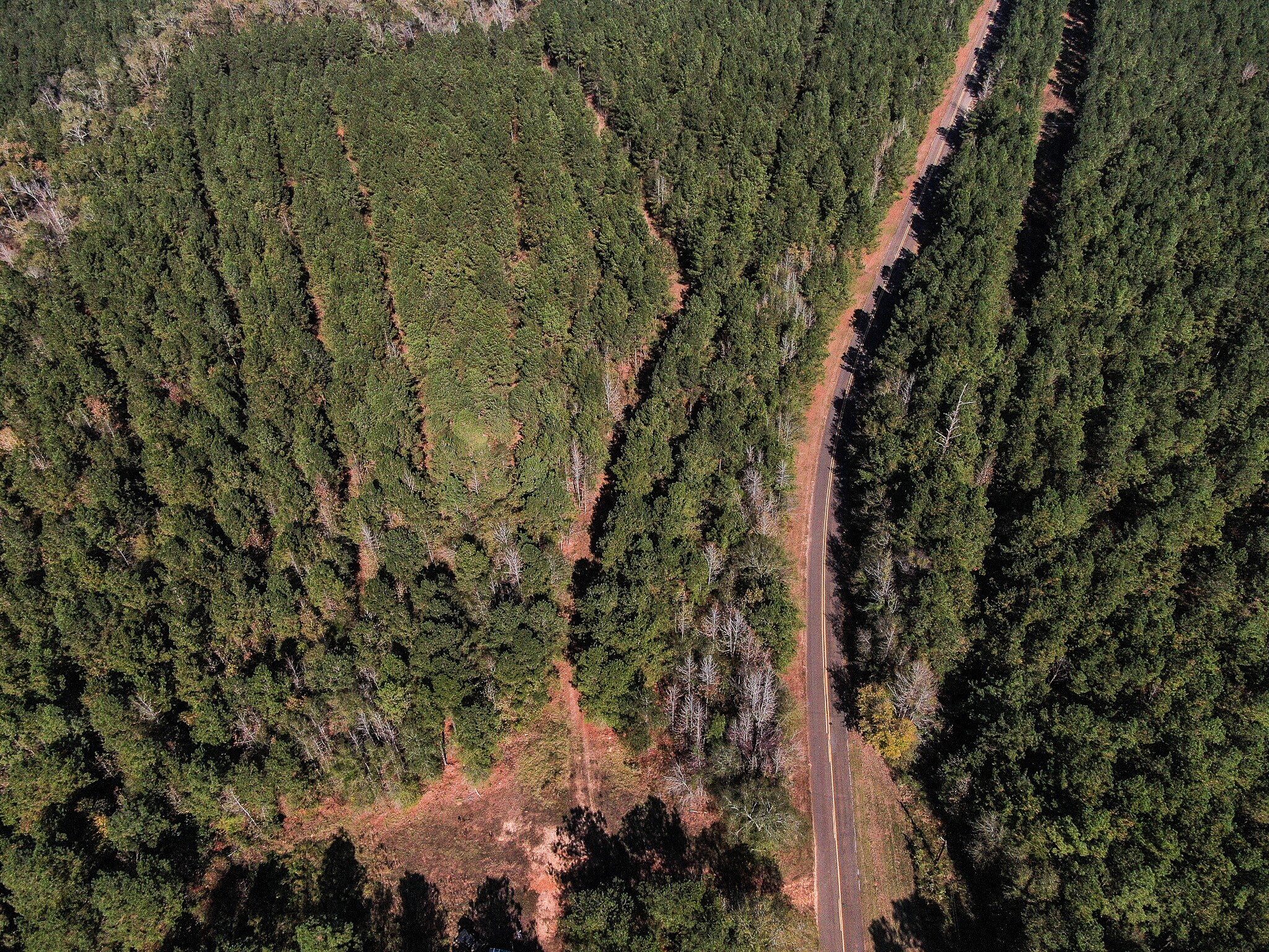 Lincoln Parish Land Package Dubach, LA for Sale