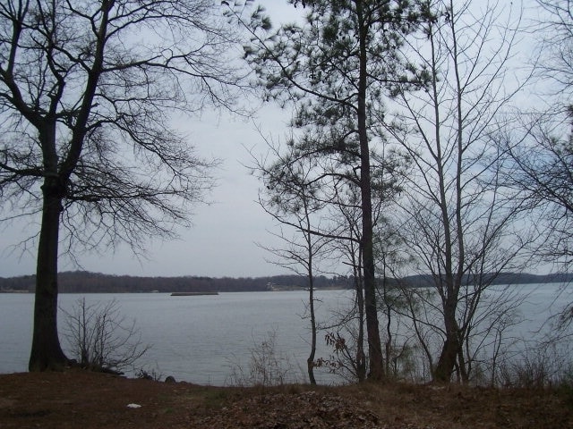 Bull Durham Rd, Springville, TN for sale - Primary Photo - Image 1 of 1