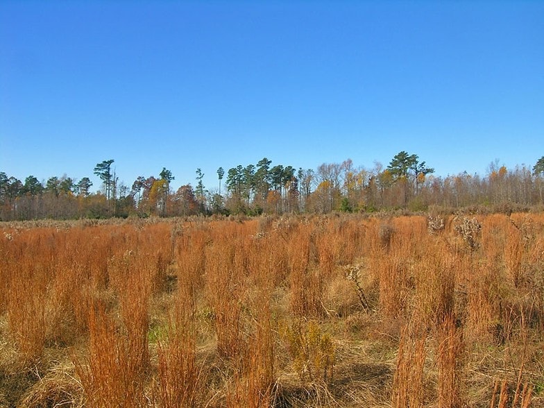 N Walnut St, Spring Hope, NC 27882