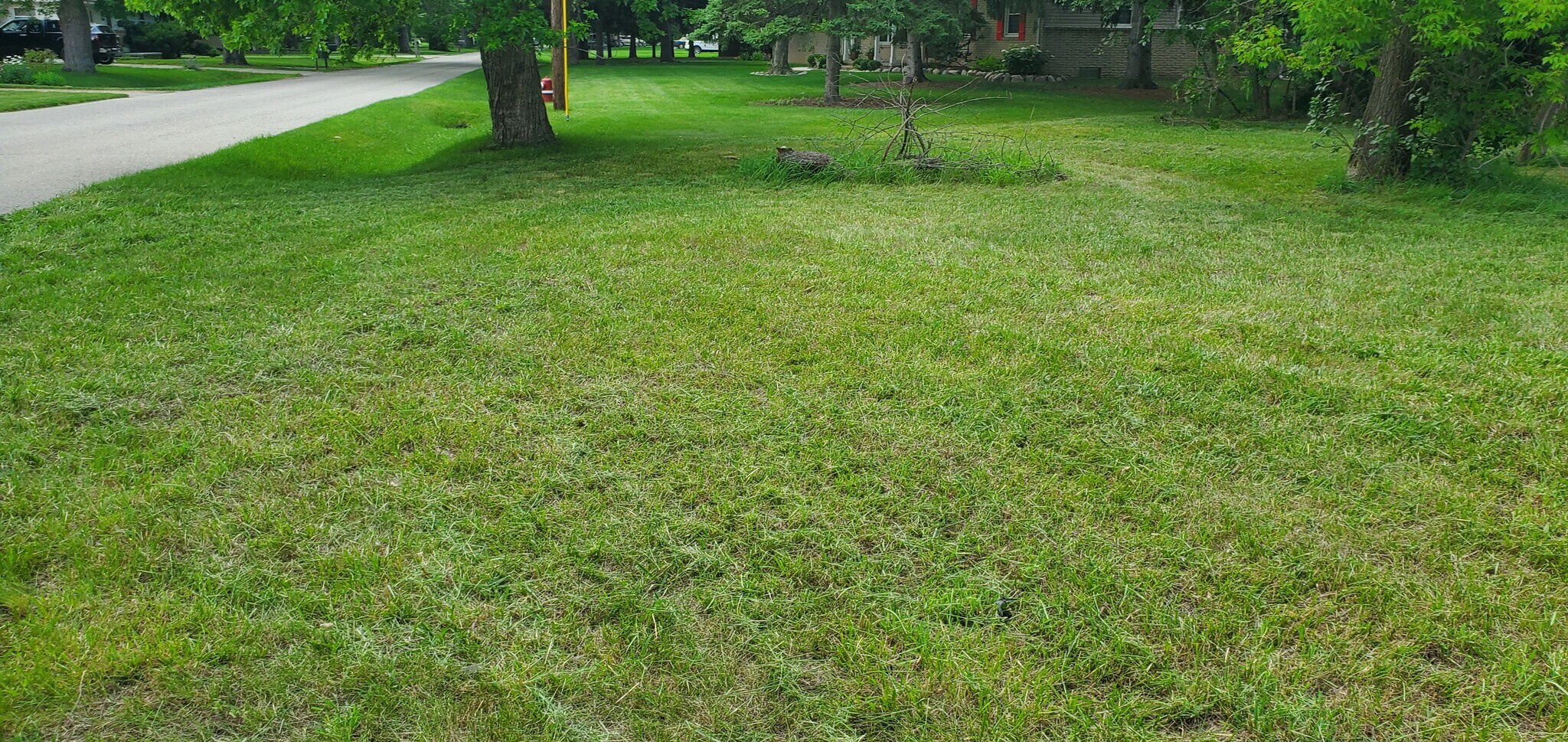 5666 Auburn Rd, Shelby Township, MI for sale Primary Photo- Image 1 of 1