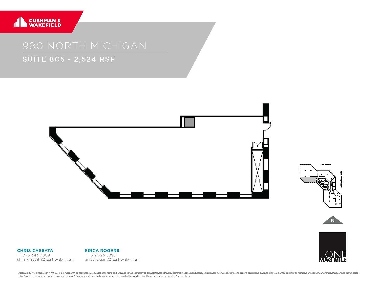 980 N Michigan Ave, Chicago, IL for lease Floor Plan- Image 1 of 1