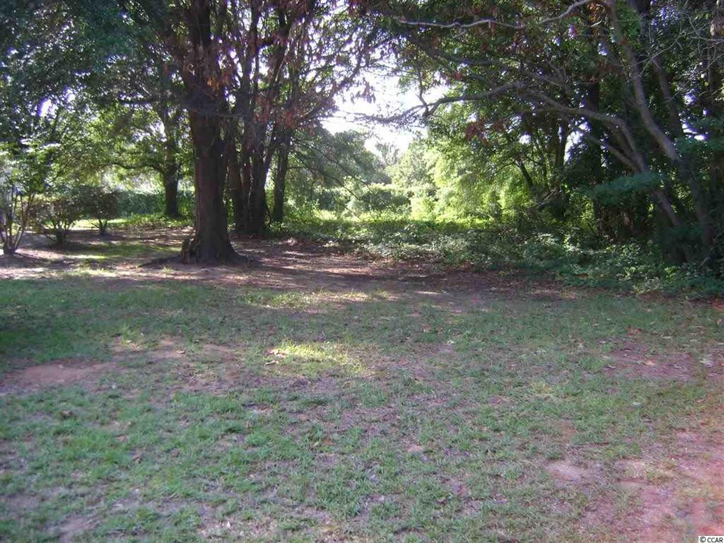 View Photo