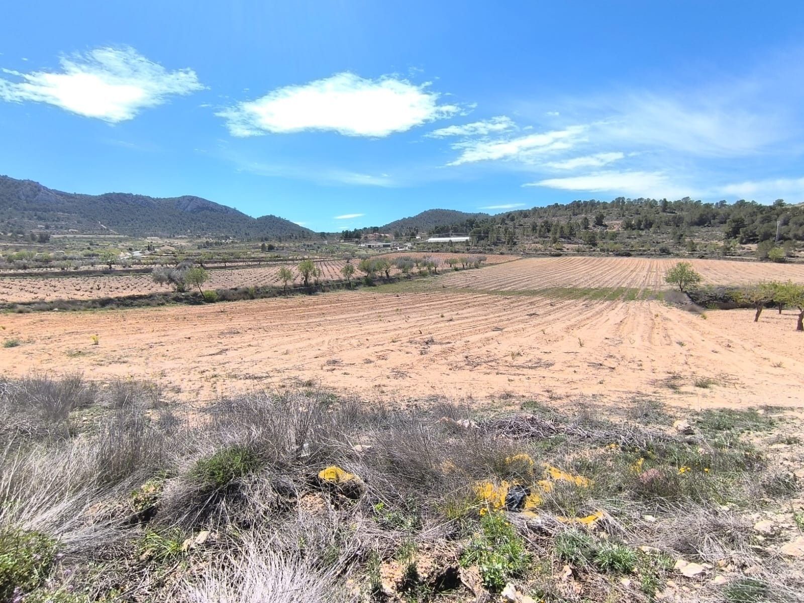 Land in Jumilla for sale Building Photo- Image 1 of 5