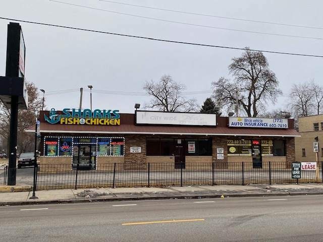 102 E 79th St, Chicago, IL for sale Primary Photo- Image 1 of 1