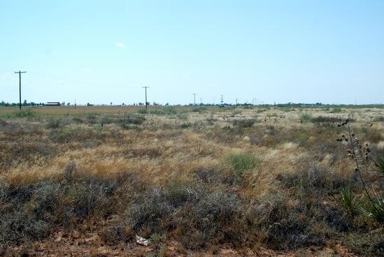 County Road 1050, Midland, TX for sale - Primary Photo - Image 1 of 1