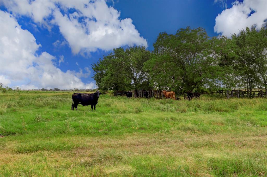 0000 Rexville, Sealy, TX for sale Primary Photo- Image 1 of 1