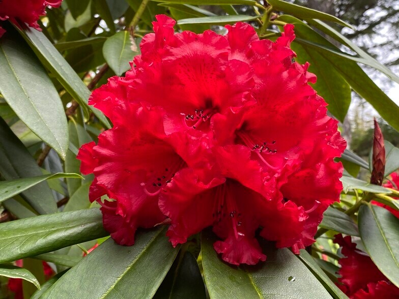 Big Gull Island, Sitka, AK 99835 Big Gull Island