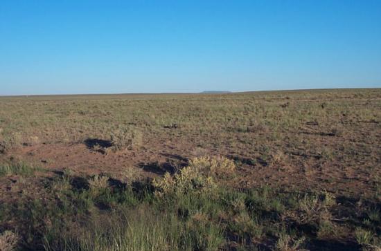 3 Acres In Navajo County Az, Sun Valley, AZ 86029 | LoopNet