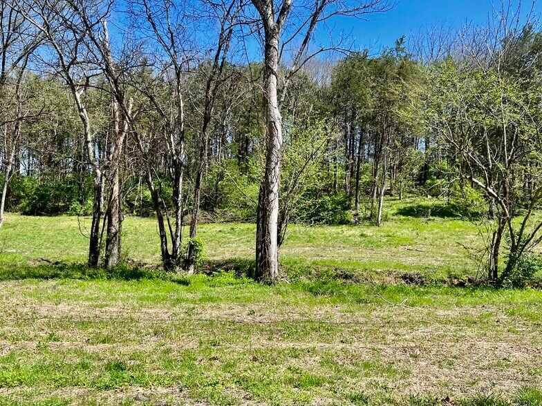 Cane Ridge Rd., Antioch, TN 37013 Land for Sale