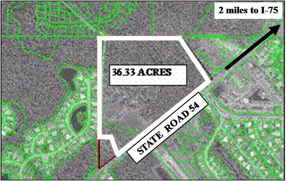 State Road 54, Wesley Chapel, FL 33544 Land for Sale