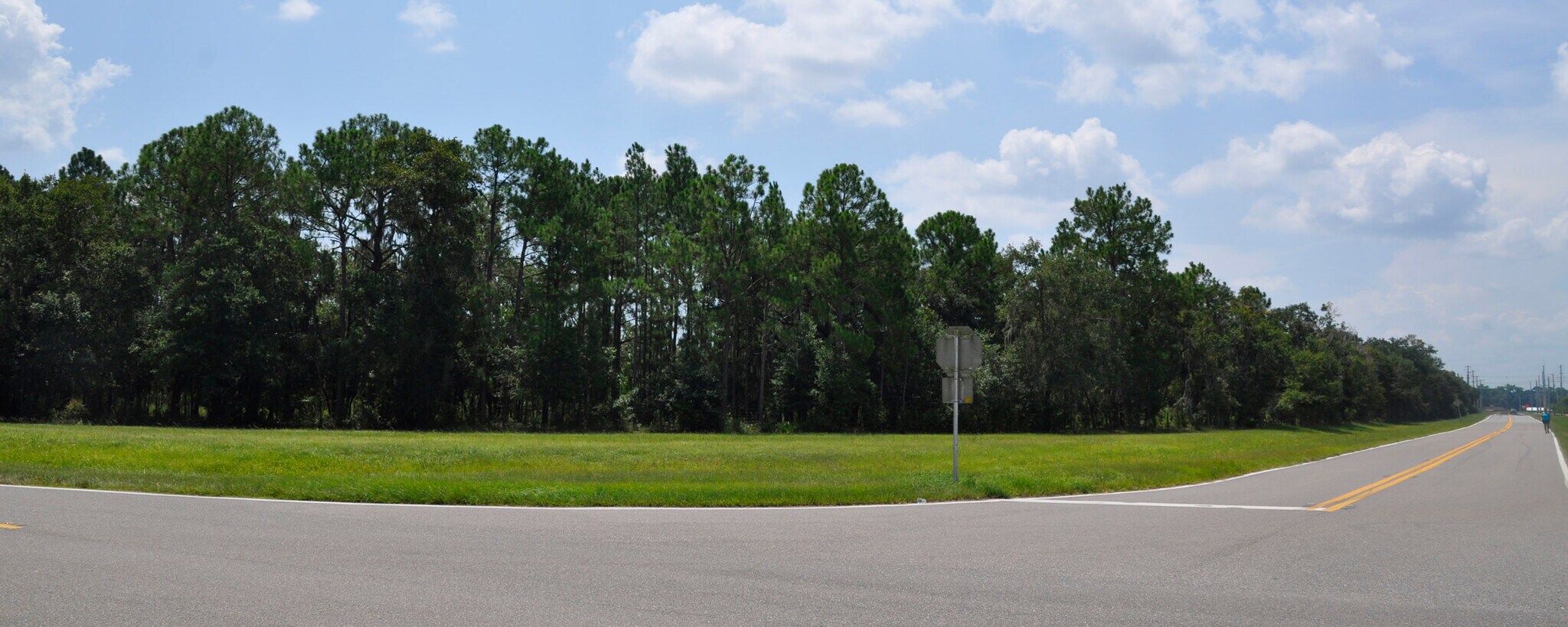 0 Old Medulla Rd, Lakeland, FL for sale Primary Photo- Image 1 of 1