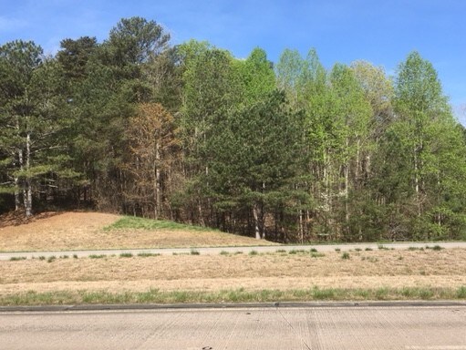 0 Ga 515, Ellijay, GA for sale Primary Photo- Image 1 of 1