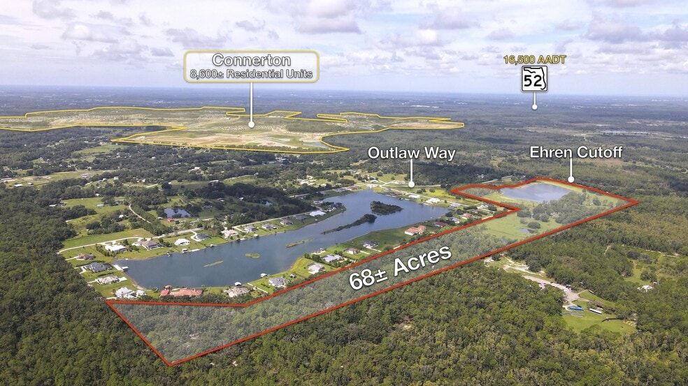 10460 Ehren Cutoff, Land O' Lakes, FL for sale - Primary Photo - Image 1 of 13