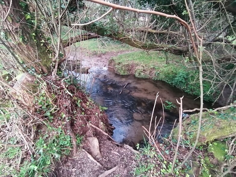 O Pazo, Rianxo, La Coruna for sale - Building Photo - Image 3 of 5