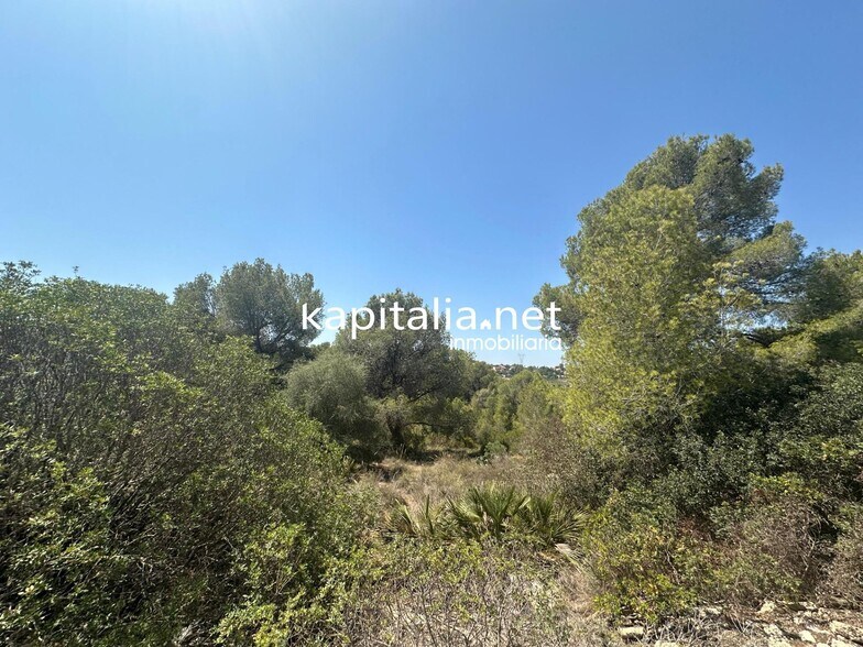 Land in San Cristóbal de La Laguna, Santa Cruz de Tenerife for sale - Building Photo - Image 2 of 5