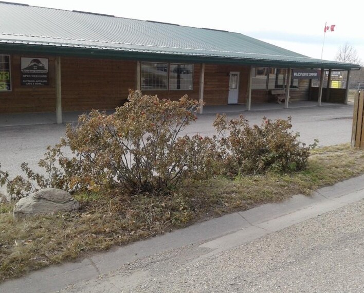 213 Railway Ave, Cremona, AB T0M 0R0