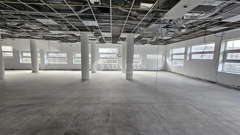 Office in Lille for lease - Interior Photo - Image 3 of 6