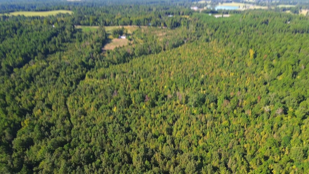 697 Airlite Rd, Marshall, TX for sale - Aerial Video - Image 2 of 13