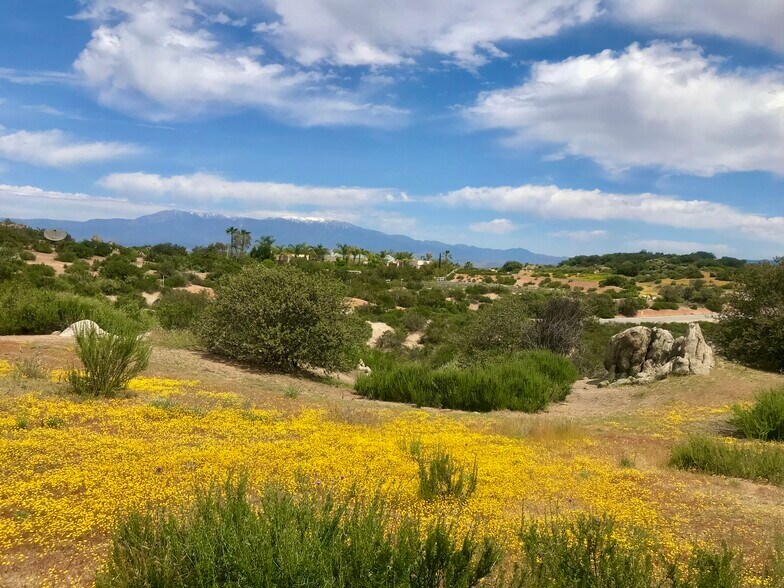 31555 Via Palmera, Homeland, CA for sale - Primary Photo - Image 1 of 17