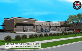 More details for 8224 Little Rd, New Port Richey, FL - Retail for Lease