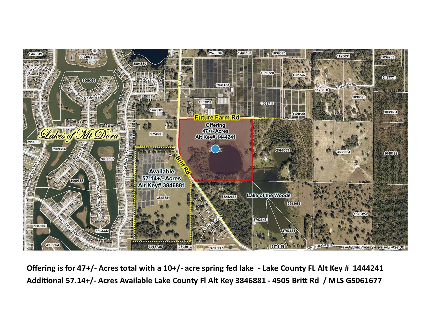 Future Farm & Britt Rd, Mount Dora, FL for sale Primary Photo- Image 1 of 1