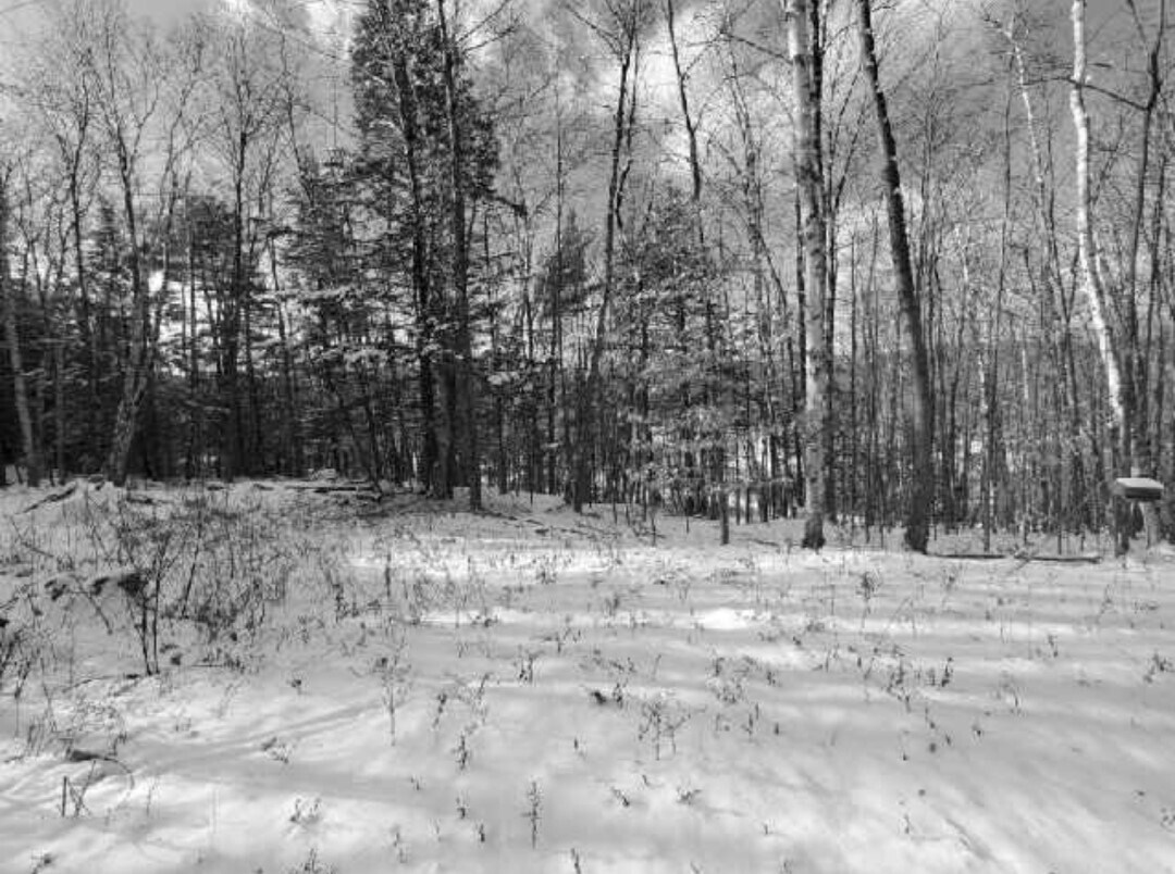 582 Hartley Hill Rd, Westminster, VT 05158 Land for Sale