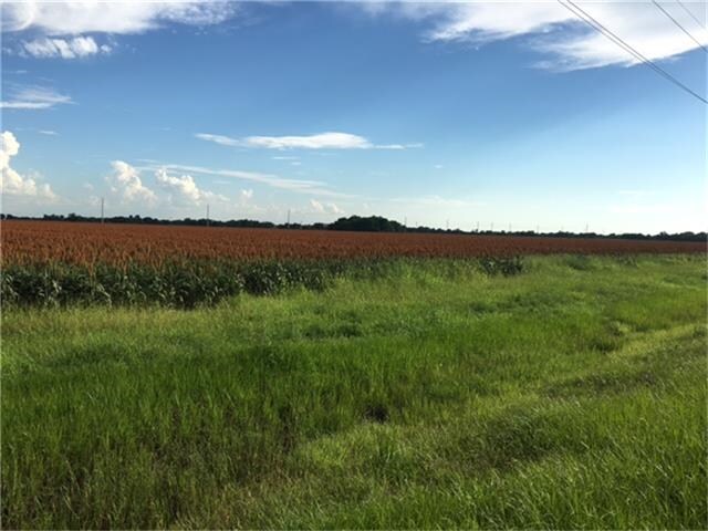 0 US-90, Beasley, TX for sale - Primary Photo - Image 1 of 1