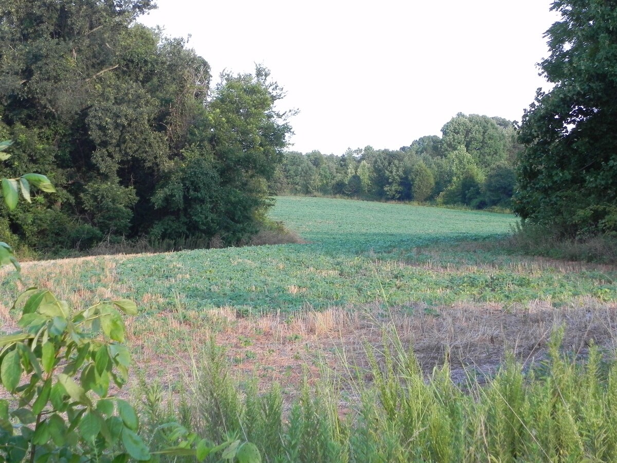 000 Lentz Rd, China Grove, NC 28023