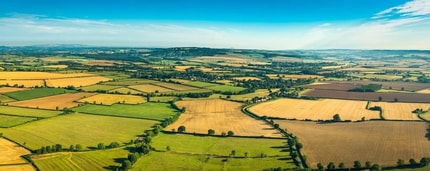 5540 Rock Quarry rd, Raleigh, NC - AERIAL map view