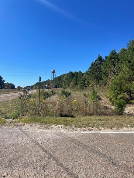 0000 Veterans Drive & 22 North, Huntingdon, TN for sale - Building Photo - Image 2 of 6