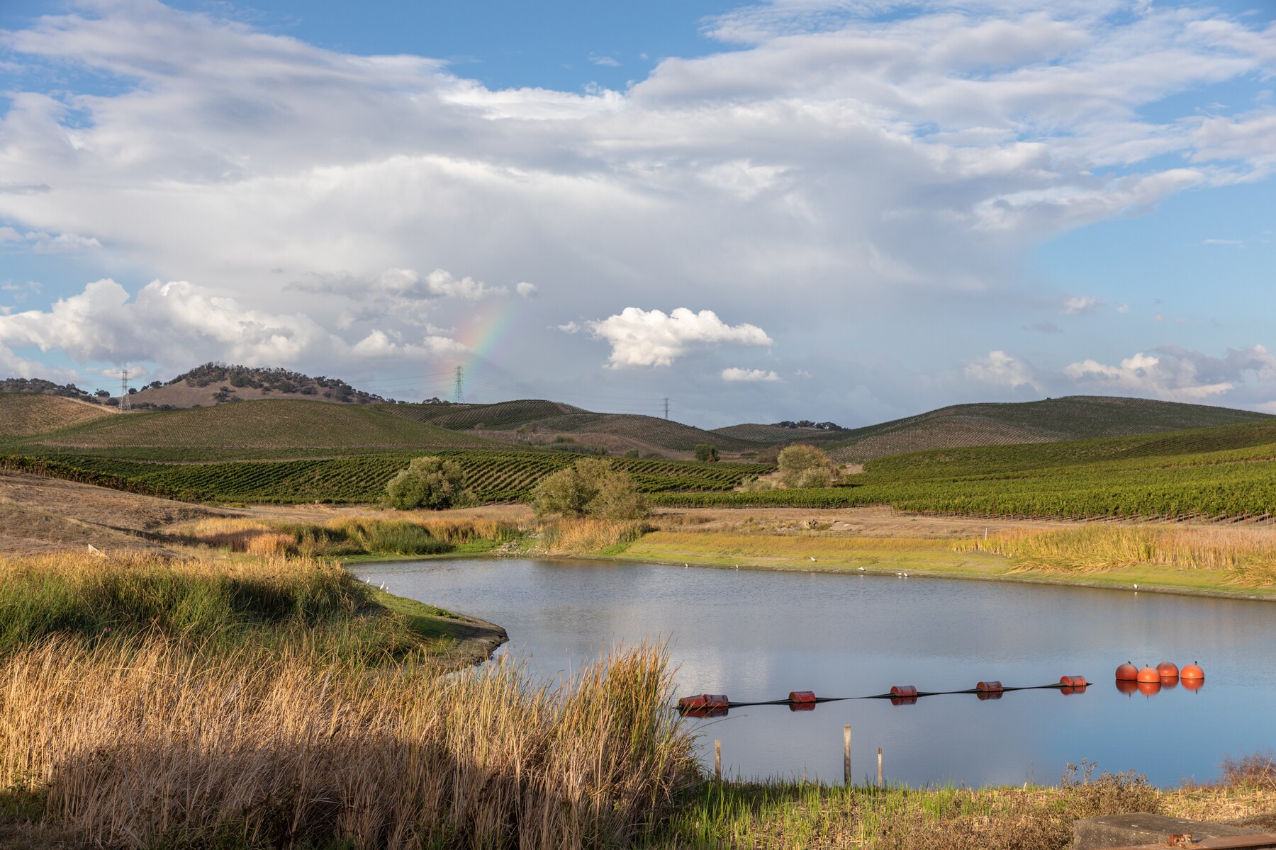 23900 Ramal Rd, Sonoma, CA 95476 Alta Vista Ranch