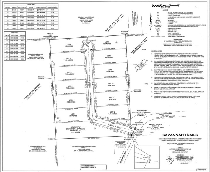 12895 Coon Massey Rd, Conroe, TX for sale - Plat Map - Image 2 of 8