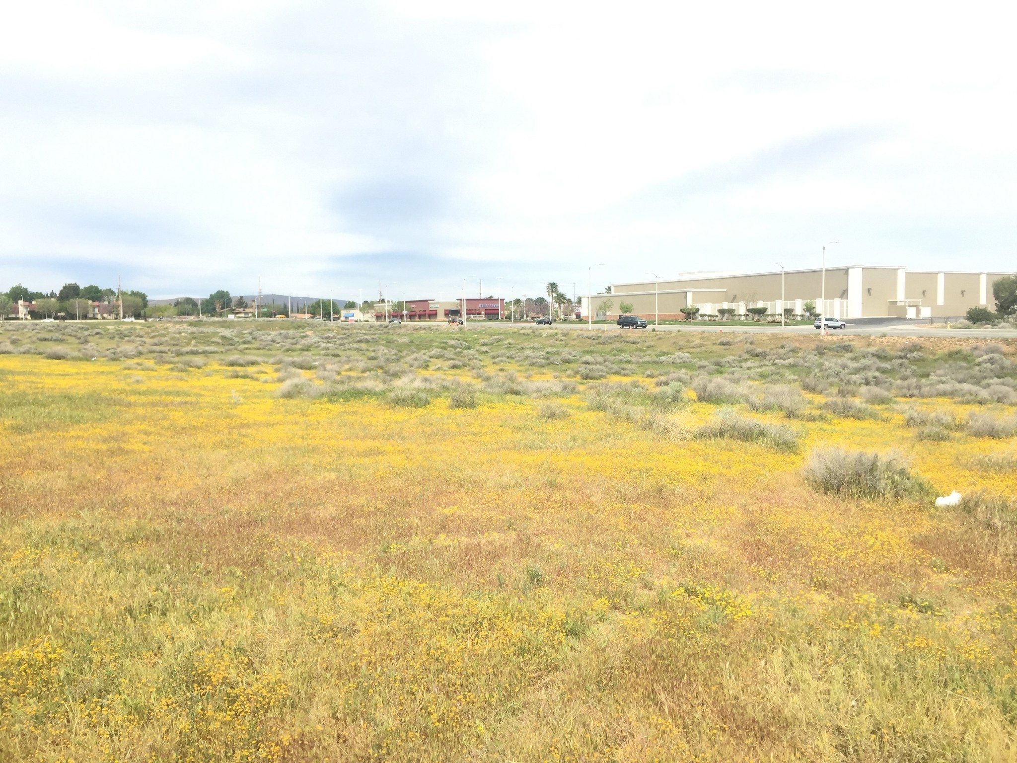 SWC Technology Dr. & Trade Center, Palmdale, CA for sale Primary Photo- Image 1 of 5