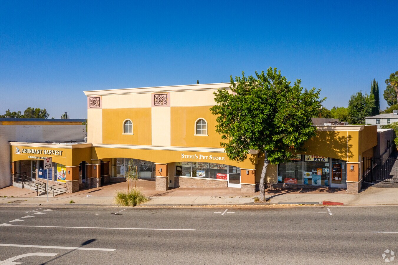 Storefronts on Lake Avenue