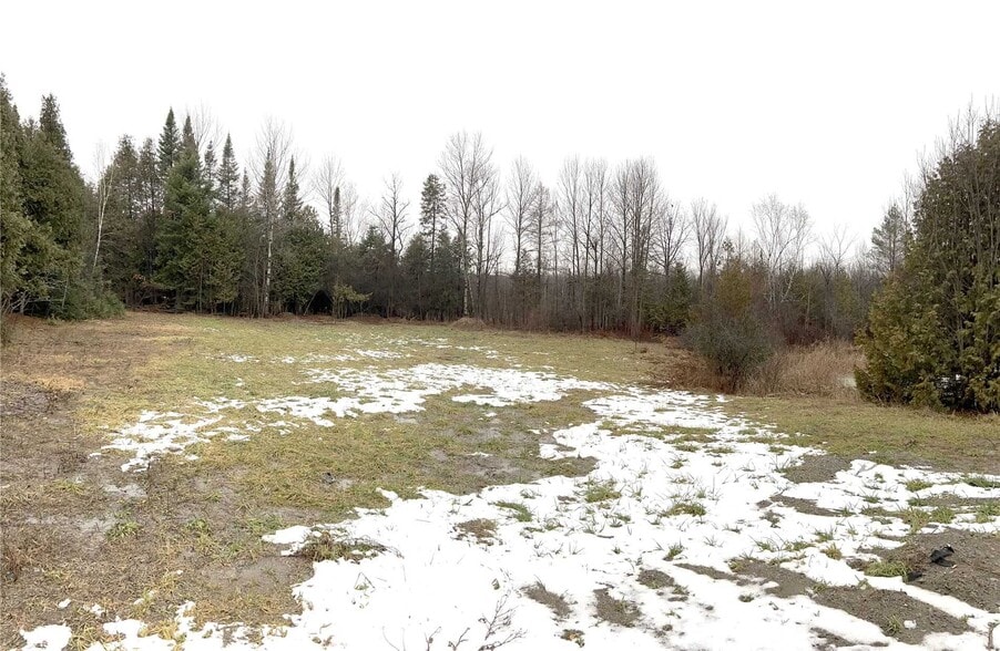 605 Highway 7, Kawartha Lakes, ON for sale - Building Photo - Image 2 of 5