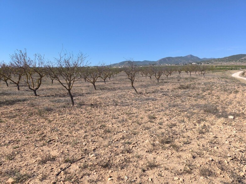 Land in PINOSO for sale - Building Photo - Image 2 of 10