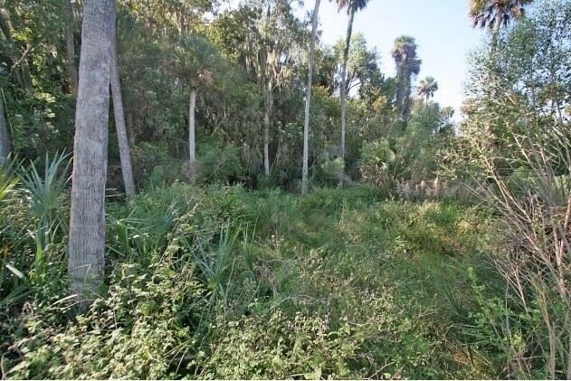 Isle of St. Johns, Georgetown, FL for sale - Building Photo - Image 3 of 50