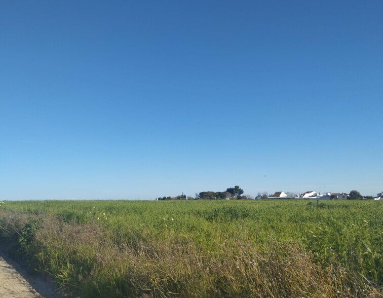 Land in Almonte for sale - Building Photo - Image 2 of 13