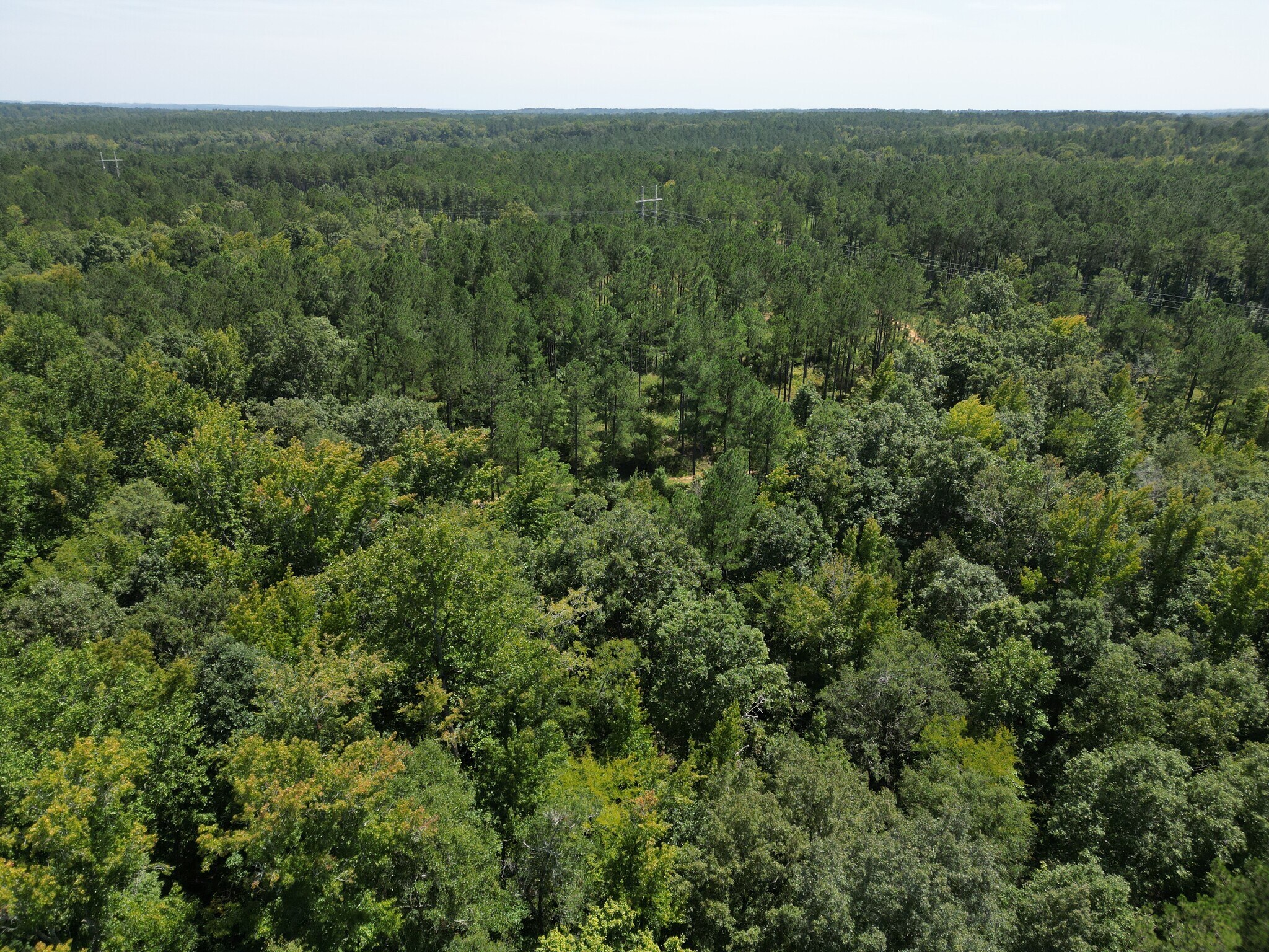 0 Martin Mill Rd, Eatonton, GA for sale Primary Photo- Image 1 of 1