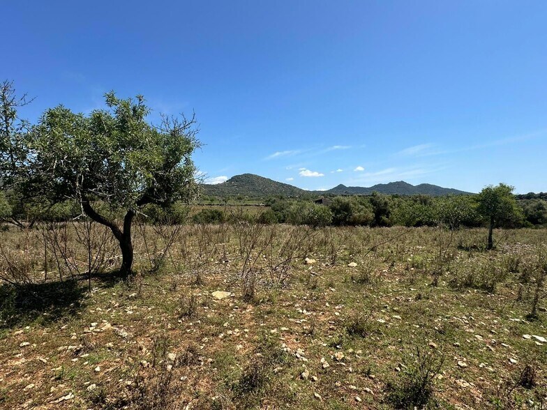 Land in Sant Llorenç des Cardassar for sale - Aerial - Image 3 of 7