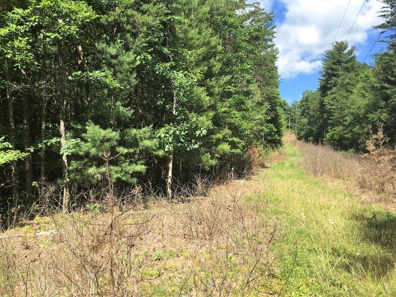 VIRGINIA AVENUE ROUTE 42, Goshen, VA 24439