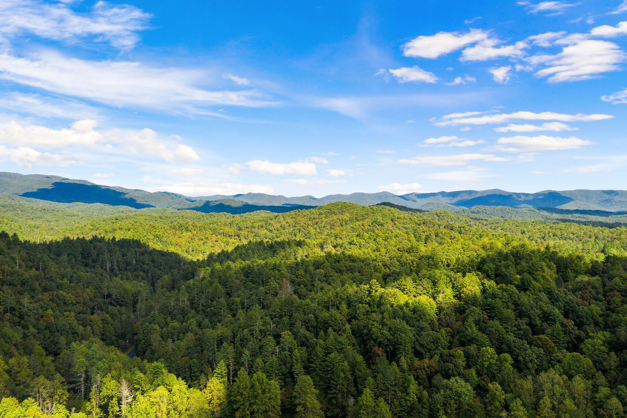 Chatsworth Hwy, Ellijay, GA for sale Primary Photo- Image 1 of 1