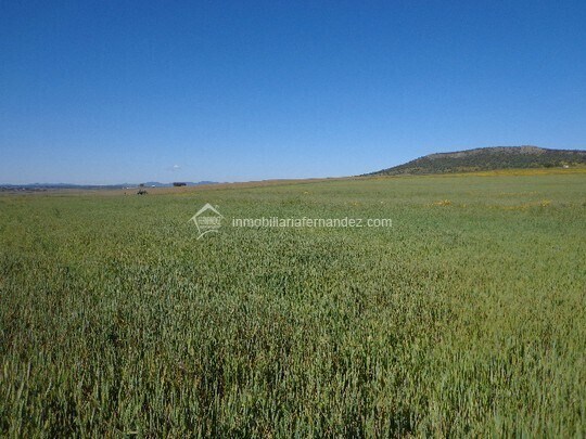 Land in Sierra de Fuentes for sale - Building Photo - Image 2 of 3